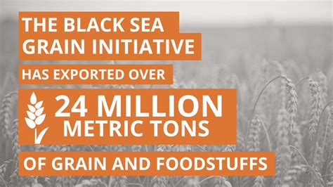 black sea grain initiative text